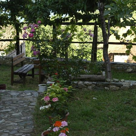 Guesthouse Klearchos Палеос-Пантелеймонас Экстерьер фото